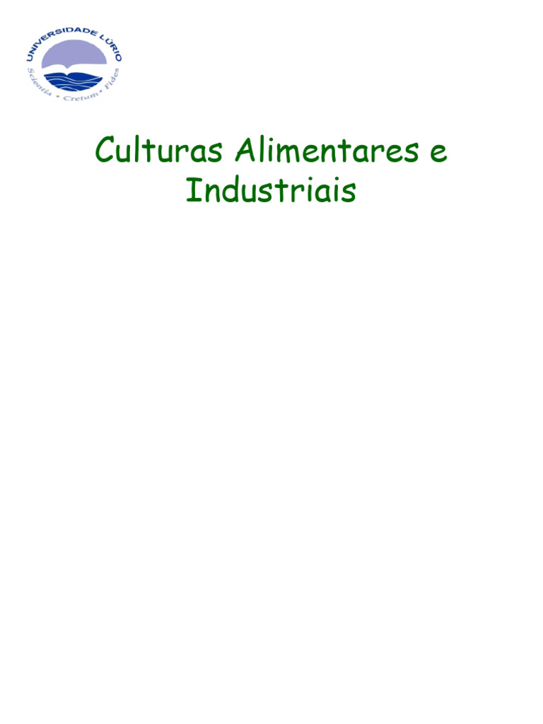 Aula 13.Batata Reno.2025 | PDF | Batata | Agricultura