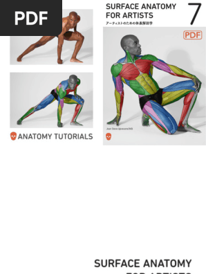 1763055964?v=1