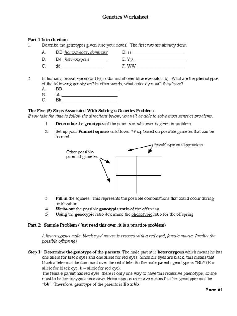 Genetics Problem Solving Guide | PDF