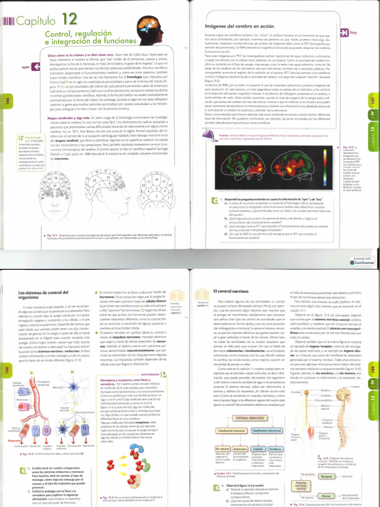 Biología Anatomía y Fisiología. Gené | PDF