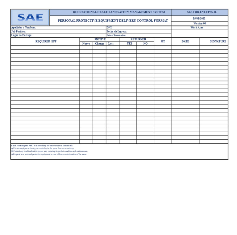 PPE Delivery Control Format Guide | PDF