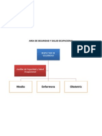 Area de Seguridad y Salud Ocupacional