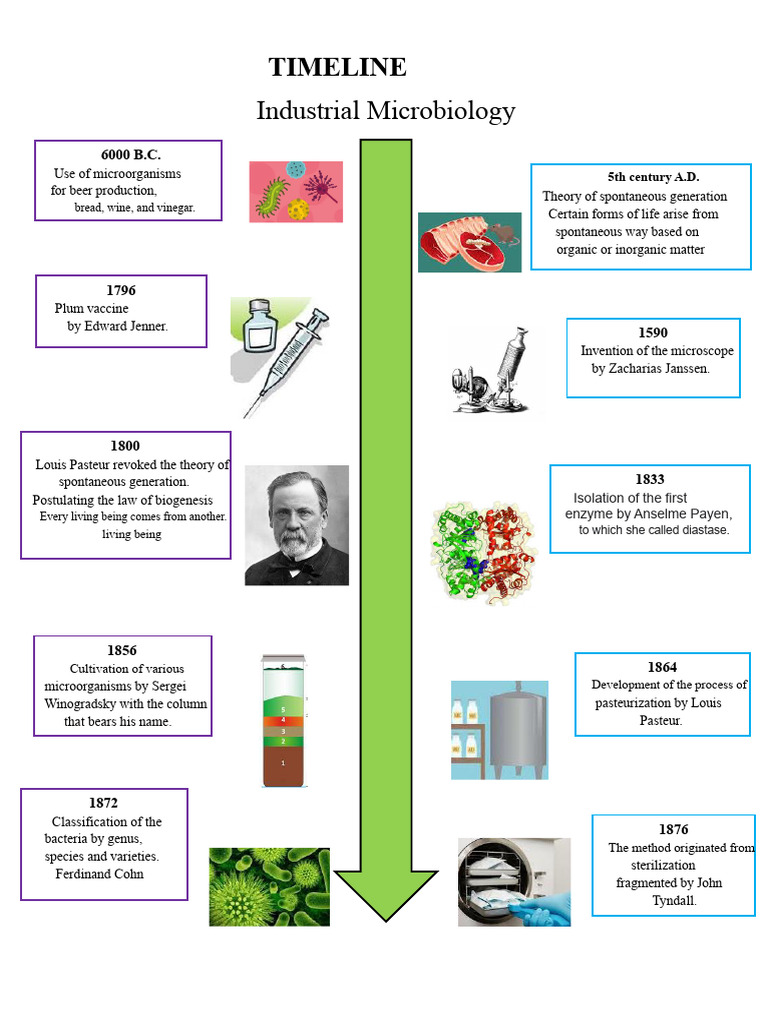 Timeline - Micro | PDF | Microbiology | Microorganism