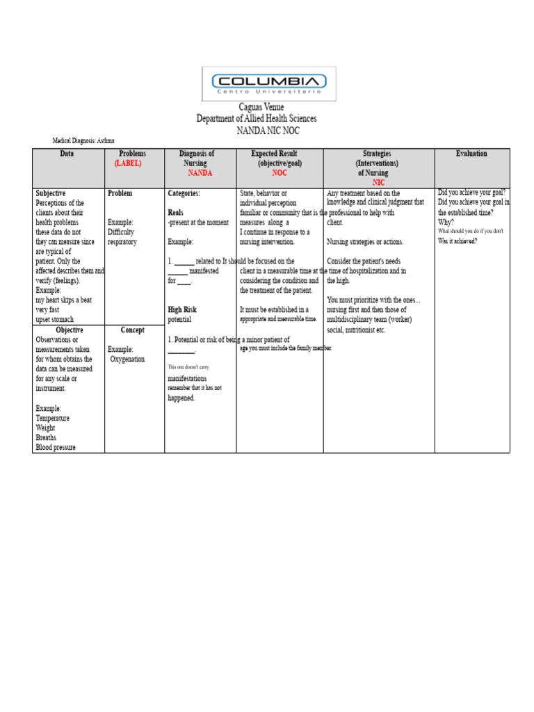 Care Plan Model | PDF | Medical Diagnosis | Nursing