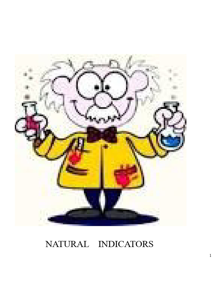 Homemade Natural pH Indicators Guide | PDF | Ph | Acid