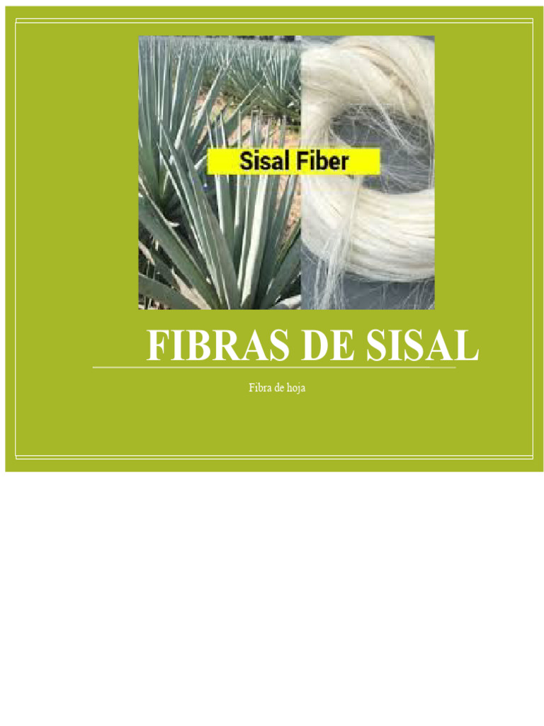 fibra de sisal | PDF | Cuerda | Fibras