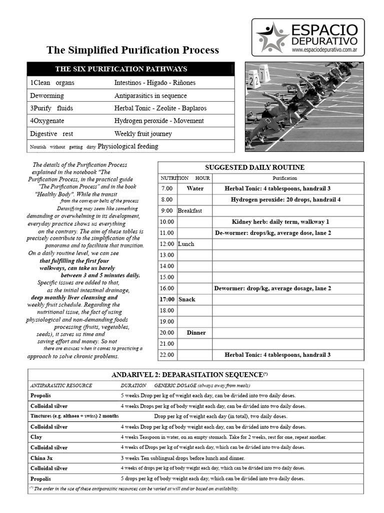Bi-Monthly Purification Process Nestor Palmetti | PDF | Foods | Water