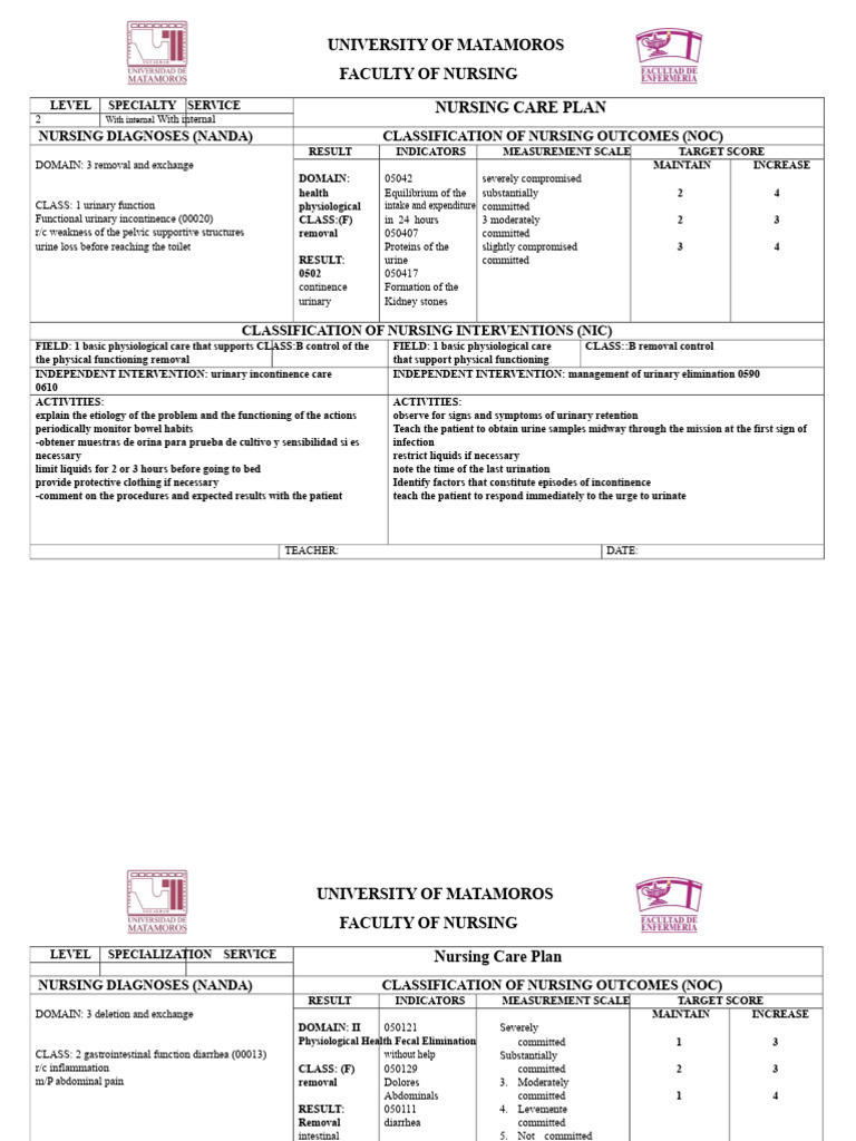 Nursing Care Plan and Interventions Guide | PDF | Urinary Incontinence ...