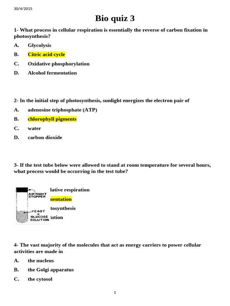 Bio quiz 3 | PDF | Cellular Respiration | Photosynthesis