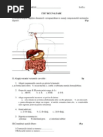 TEST DE EVALUARE Sistemul Digestiv Și Sistemul Circulator