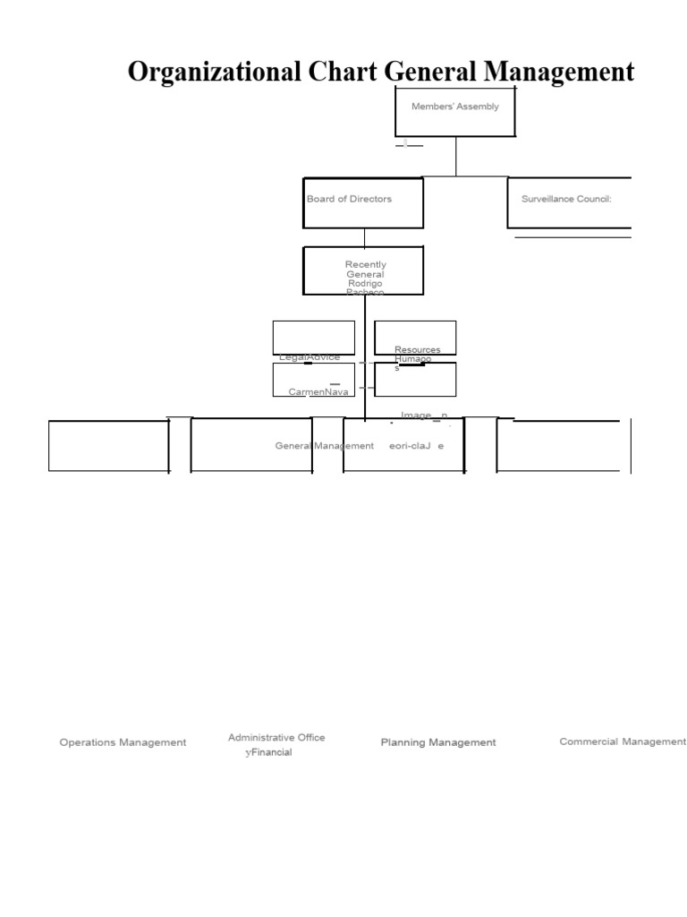 General Management Organizational Chart | PDF