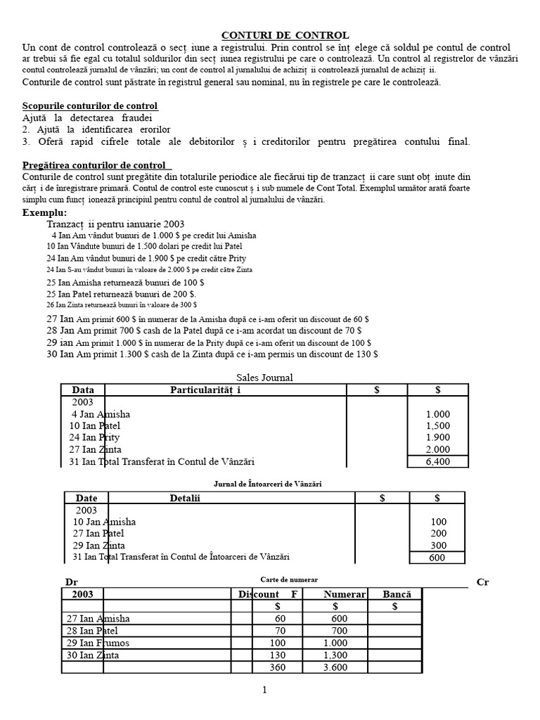 Conturi de Control | PDF