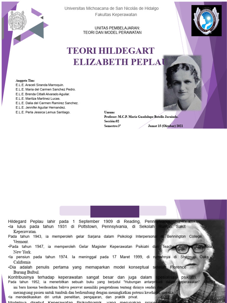 teori-hildegart-elizabeth-peplau-pdf
