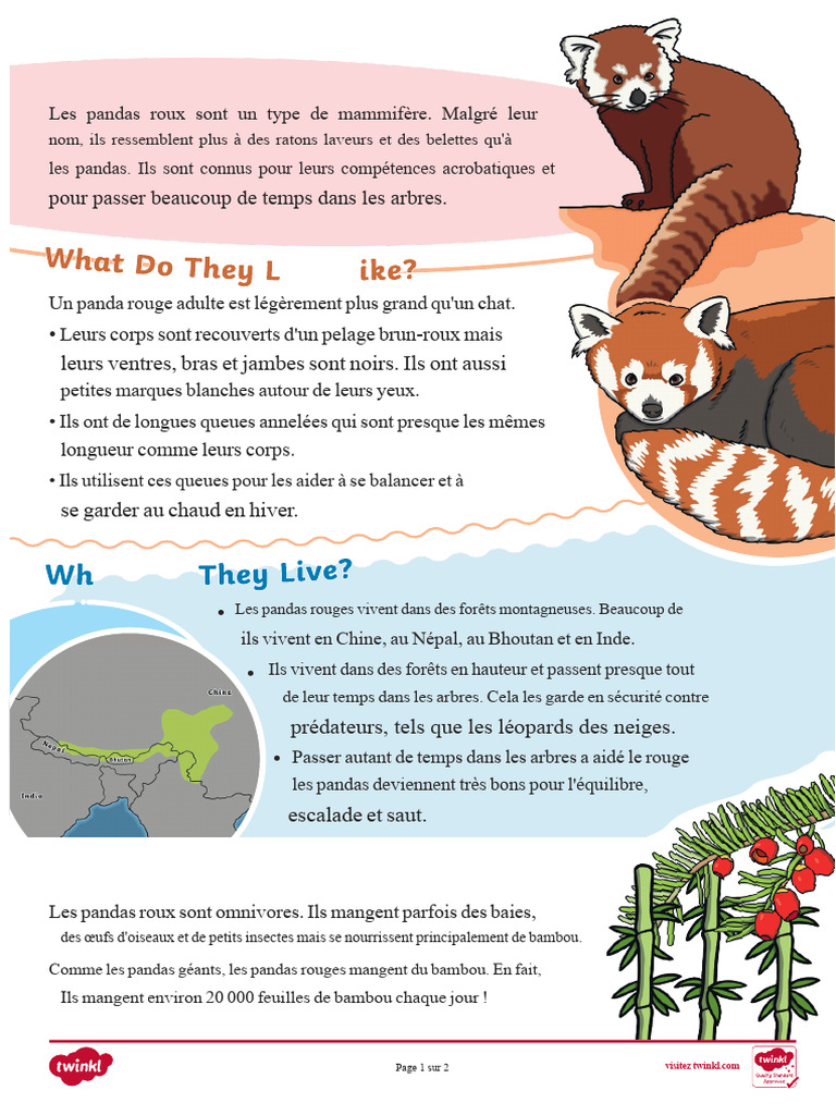 Faits sur les pandas roux et leur habitat | PDF | Panda géant | Zoologie