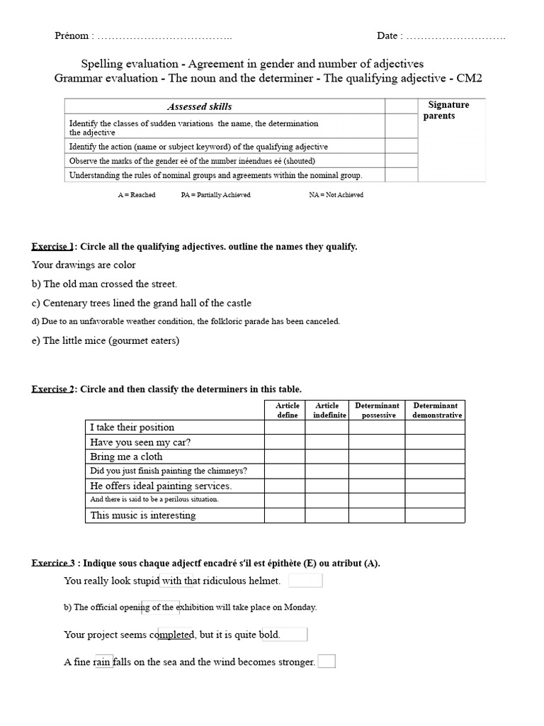 Adjective Agreement Evaluation CM2 | PDF | Adjective | Grammatical Gender