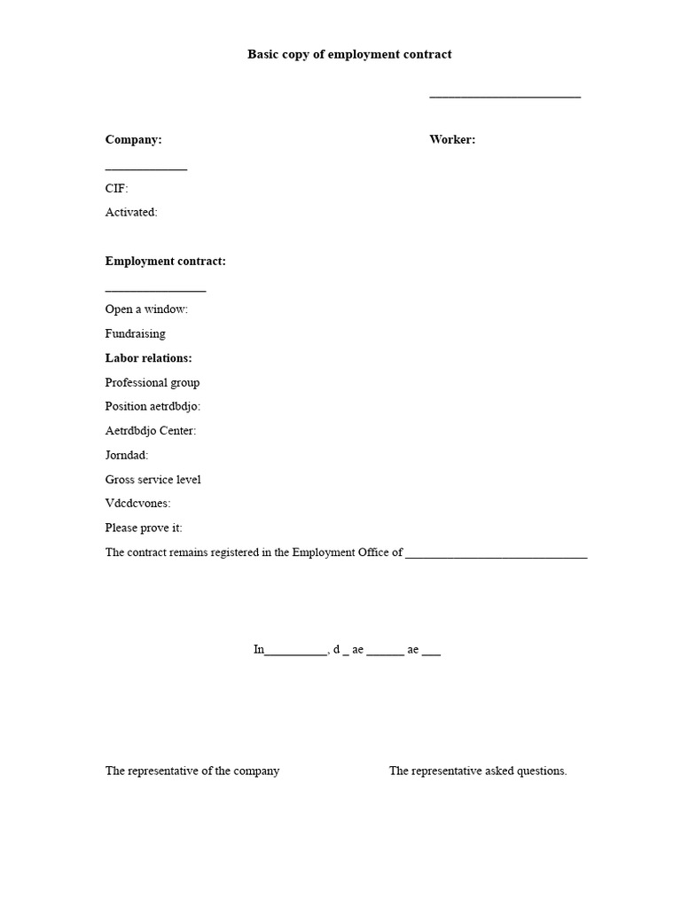 Basic Employment Contract Template | PDF