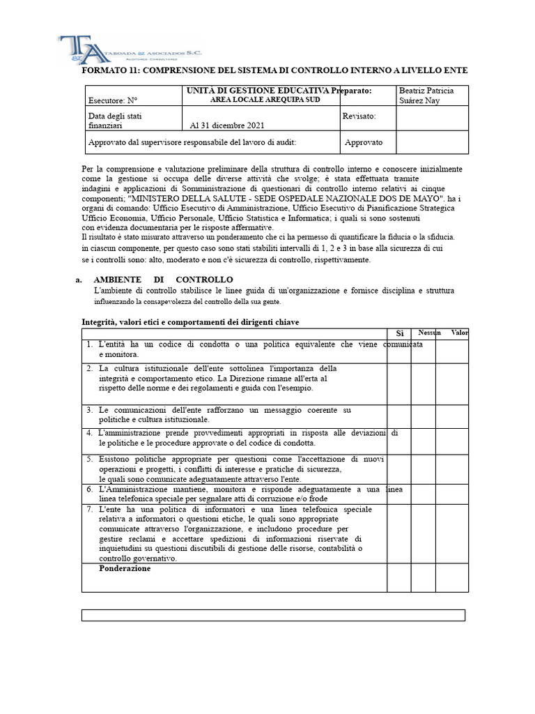 Formato 11 - Comprensione Del Sistema Di Controllo Interno | PDF