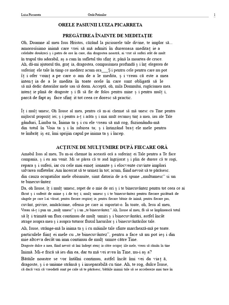 Cartea 24 de Ore Din Pasiune | PDF