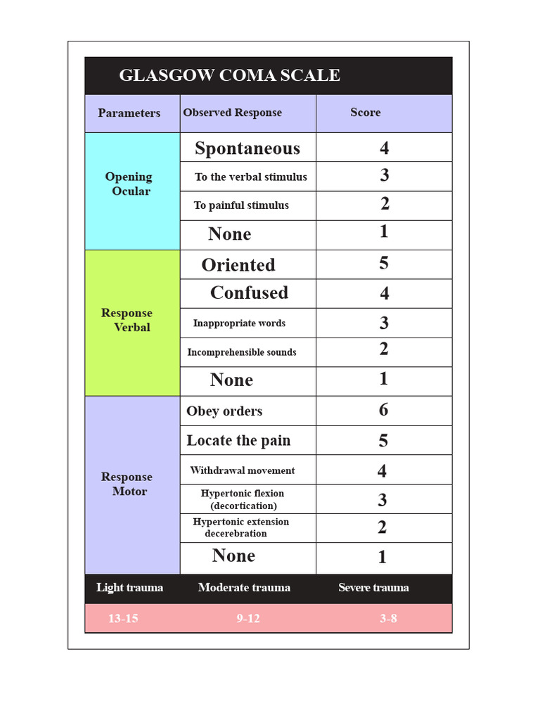 Glasgow Coma Scale | PDF