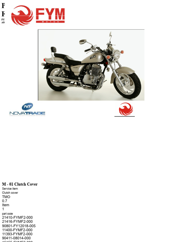 Parts Manual FYM 250 | PDF | Manual Transmission | Automotive Technologies
