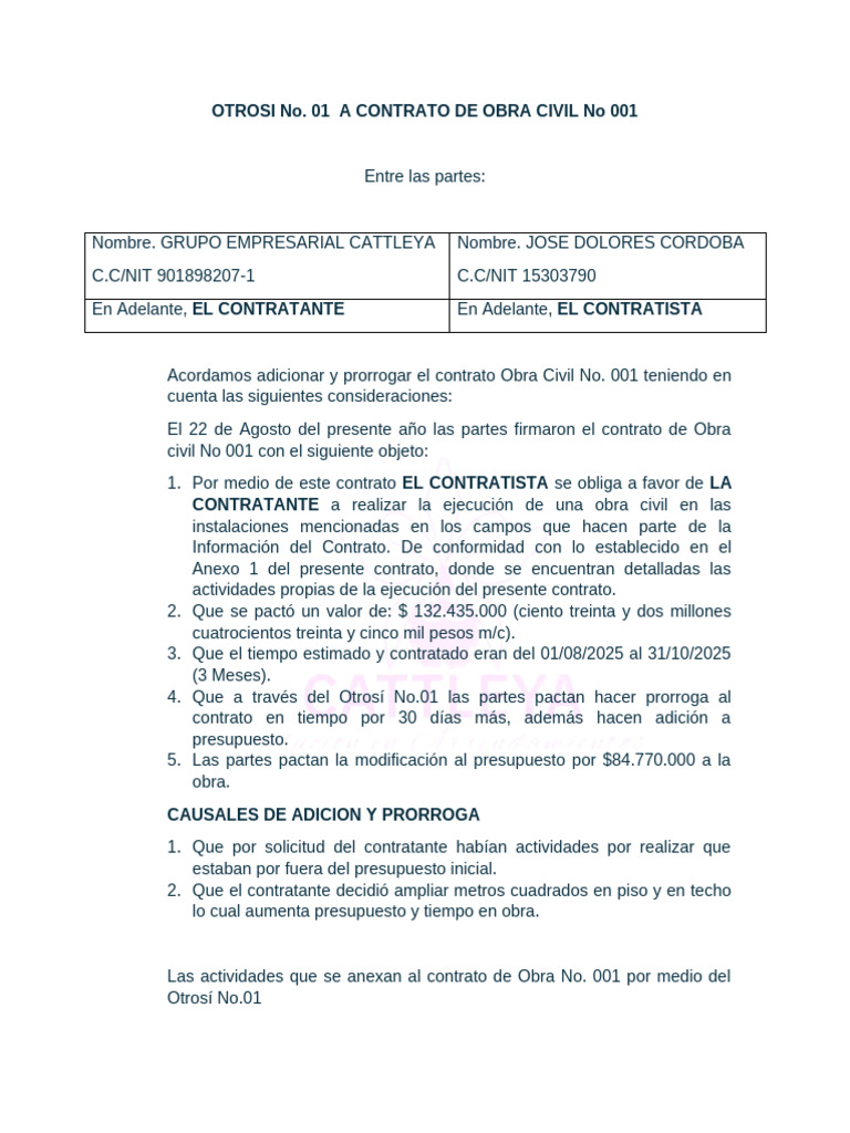 OTROSI No 01 Obra Cattleya | PDF