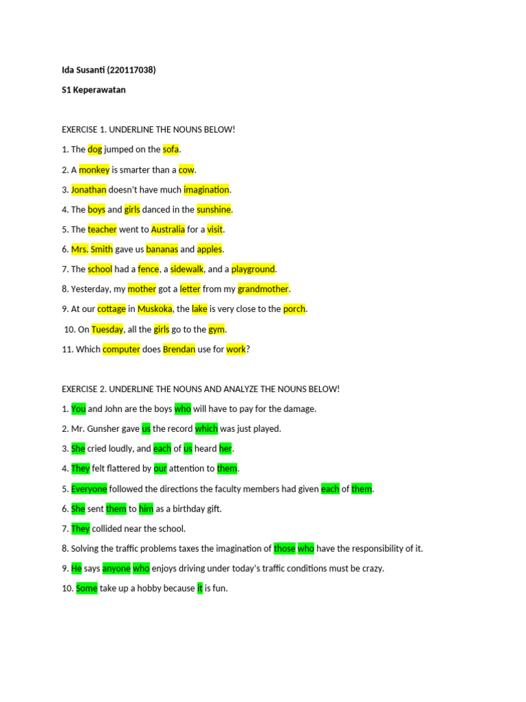 Noun Identification Exercises for Students | PDF