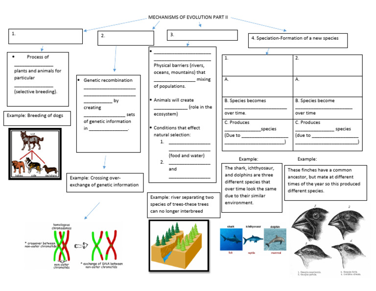 Mechanisms for Evolution Part 2-CONTINUED | PDF | Species | Evolution