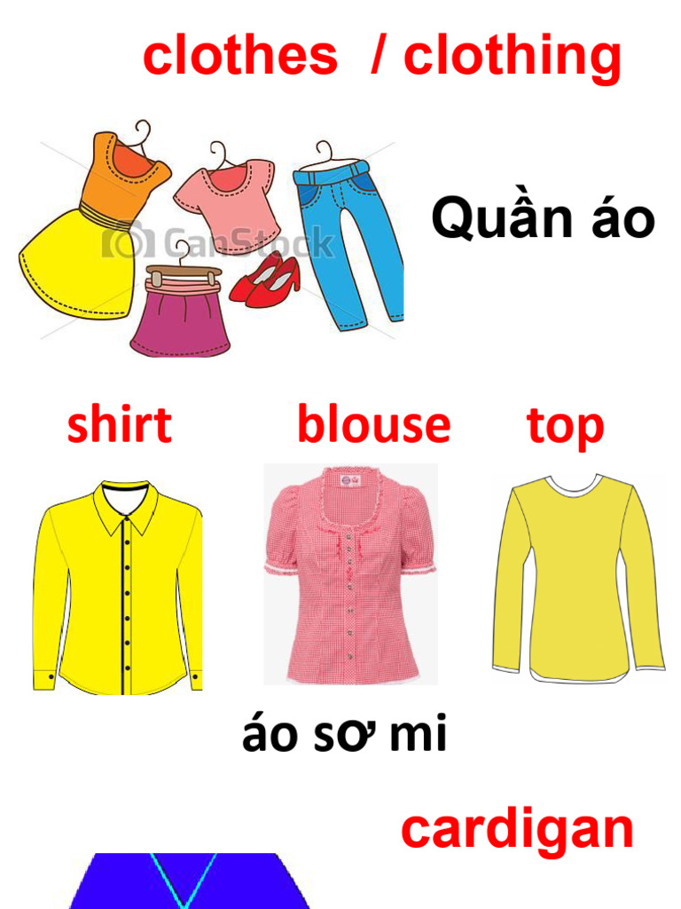 Clothing Vocabulary and Exercises | PDF