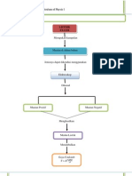 Review Content and Curriculum of Physic I