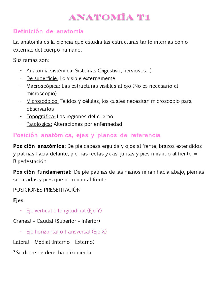Materia Anatomia T1 PDF | PDF | Abdomen | Intestino grueso