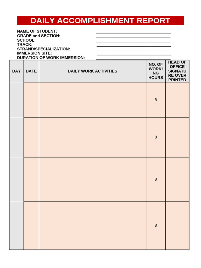 3 Daily Accomplishment Report | PDF