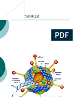 3.-Adenovirus Papilomavairus