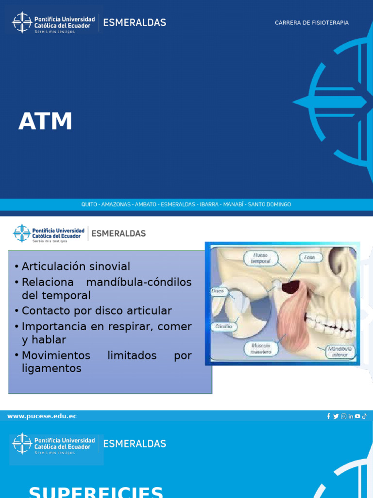ATM2 | PDF | Articulación | Sistema musculoesquelético