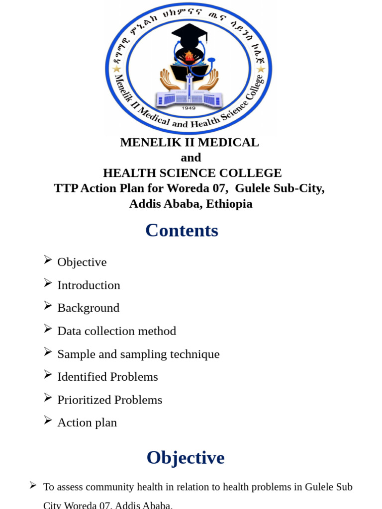 TTP Action Plan | PDF | Electronic Health Record | Mental Health