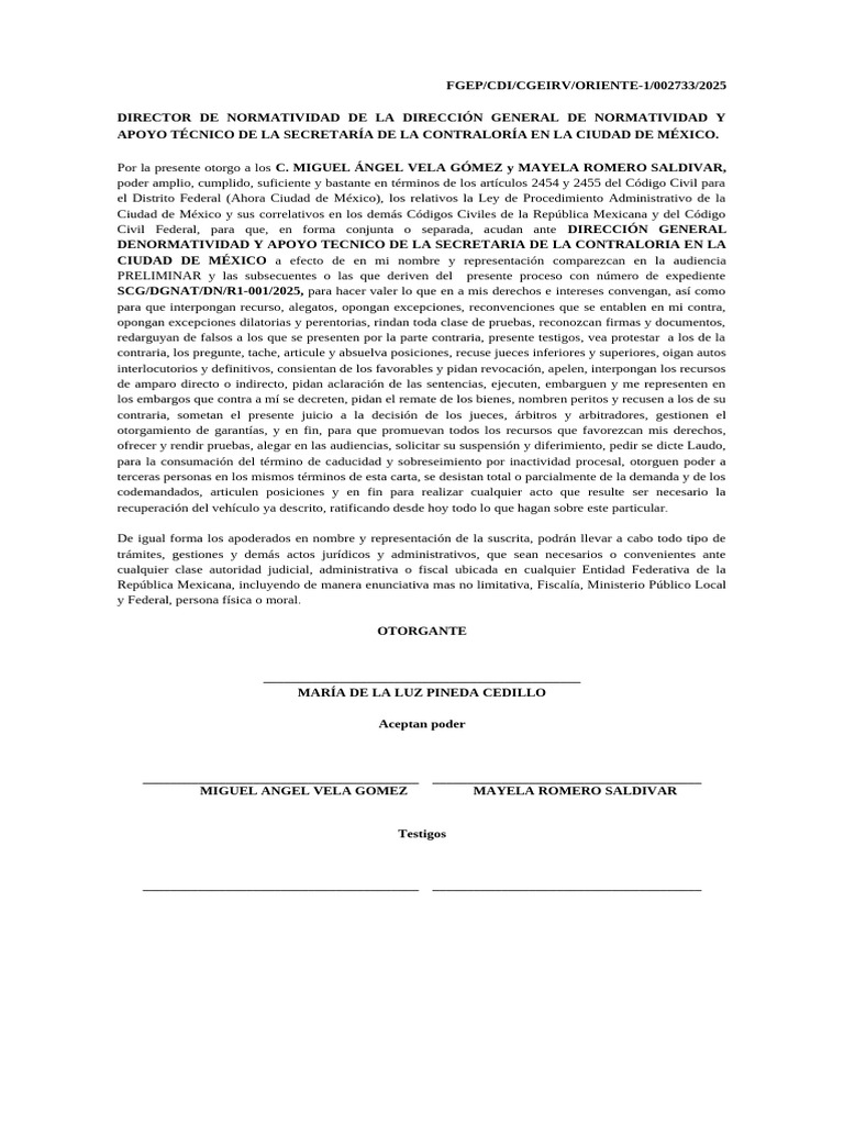 Poder Notarial para Representación Legal | PDF | Ciudad de México | Ley ...