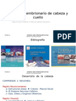 Desarrollo Embrionario de Cabeza y Cuello Blog