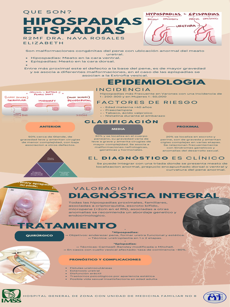 Hipospadias y Epispadias: Diagnóstico y Tratamiento | PDF | Medicina ...
