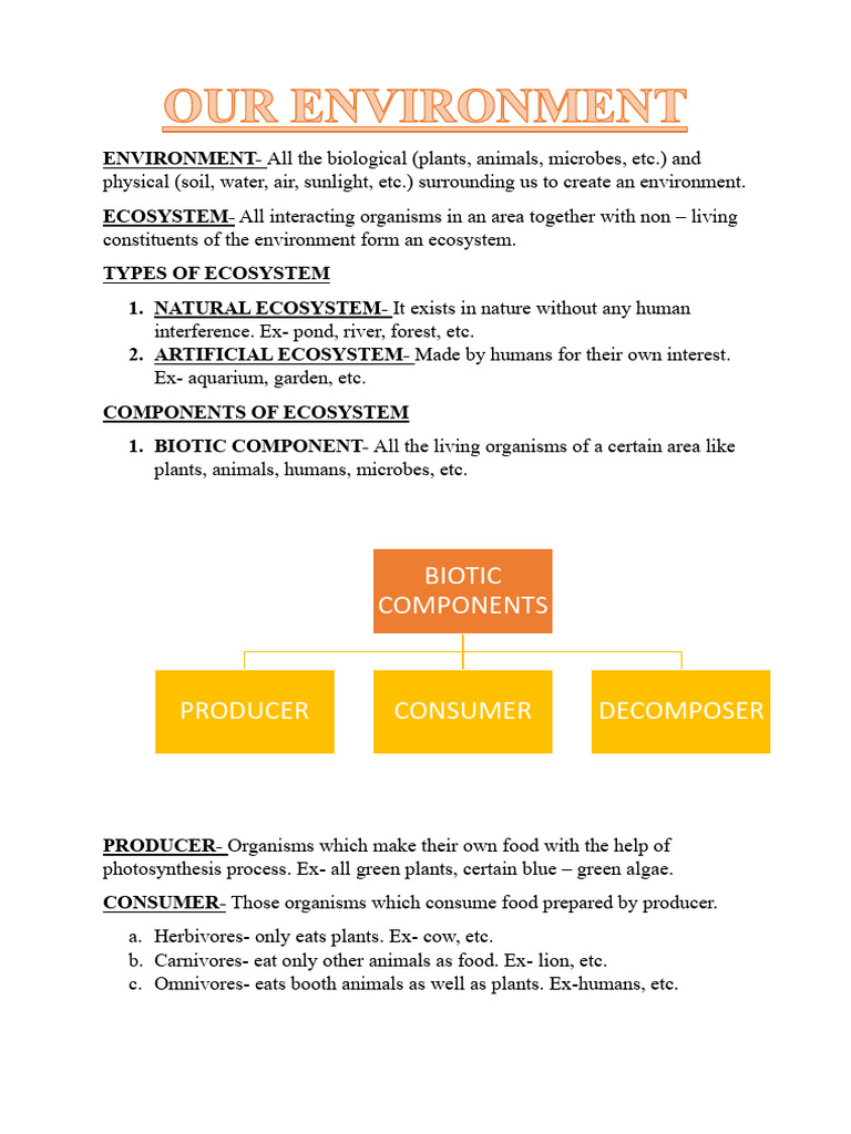 Natural vs. Artificial Ecosystems | PDF | Ecosystem | Foods