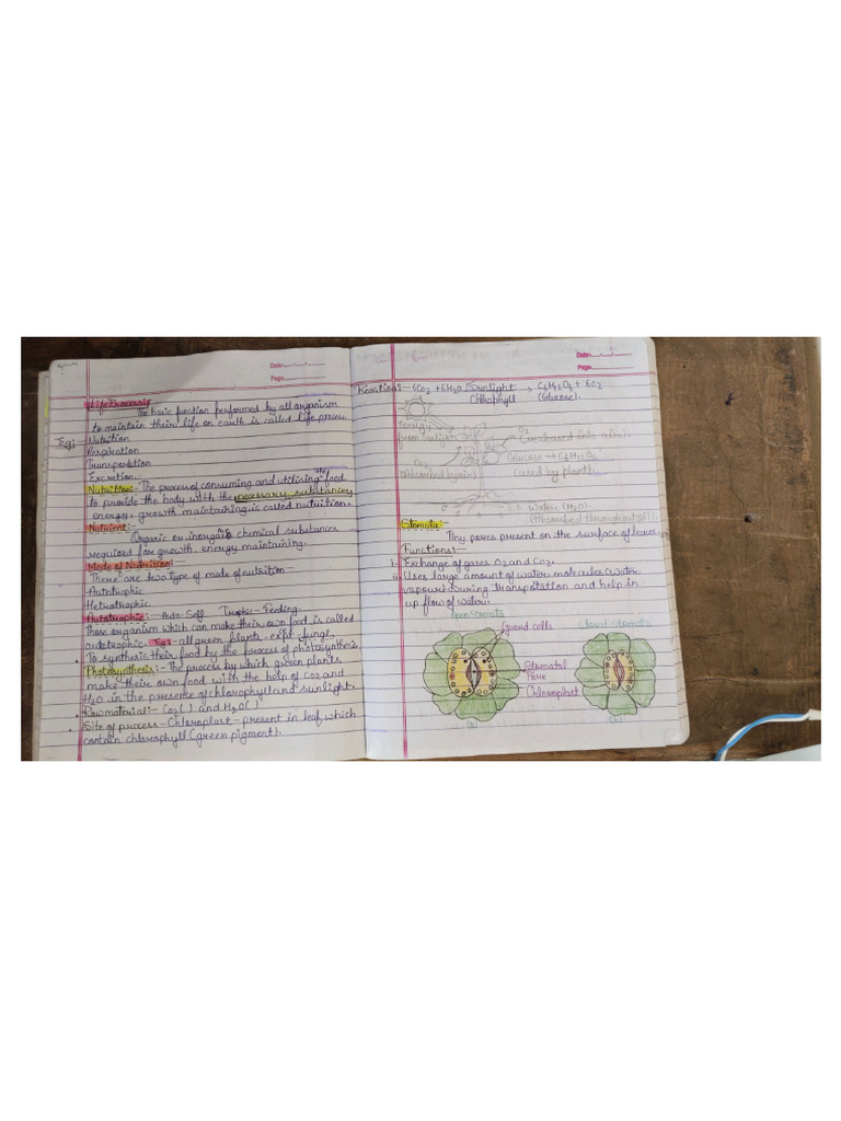 Chapter 1 Bio | PDF