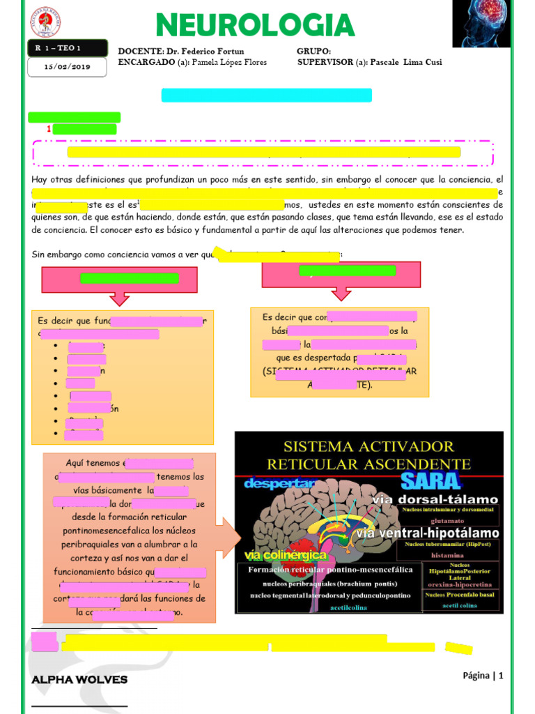 Estado de Coma: Definición y Causas | PDF | Conciencia | Coma
