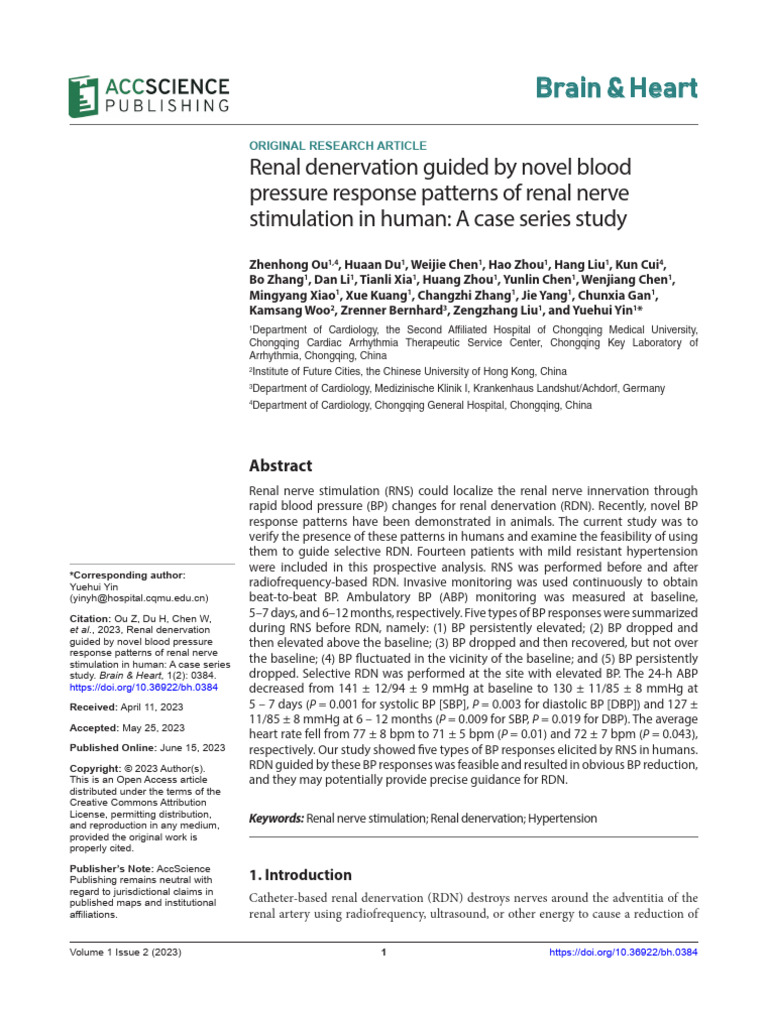 Guided Renal Denervation via BP Patterns | PDF | Blood Pressure ...