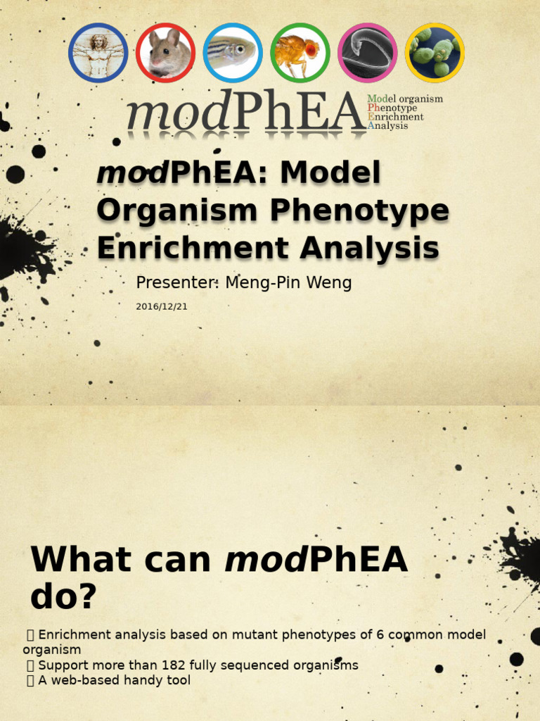 Phea: Model Organism Phenotype Enrichment Analysis: Presenter: Meng-Pin ...
