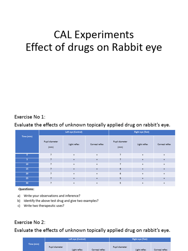 Effects of Drugs on Rabbit Eyes | PDF | Eye