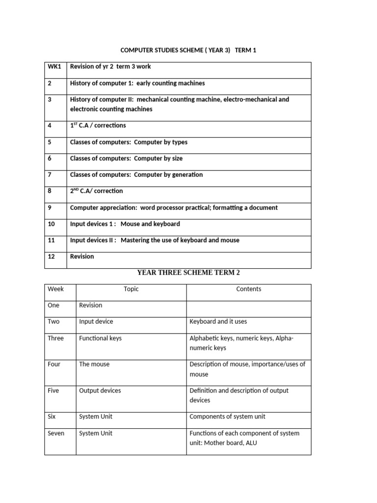 Year 3 Computer Studies Curriculum | PDF | Booting | Input/Output
