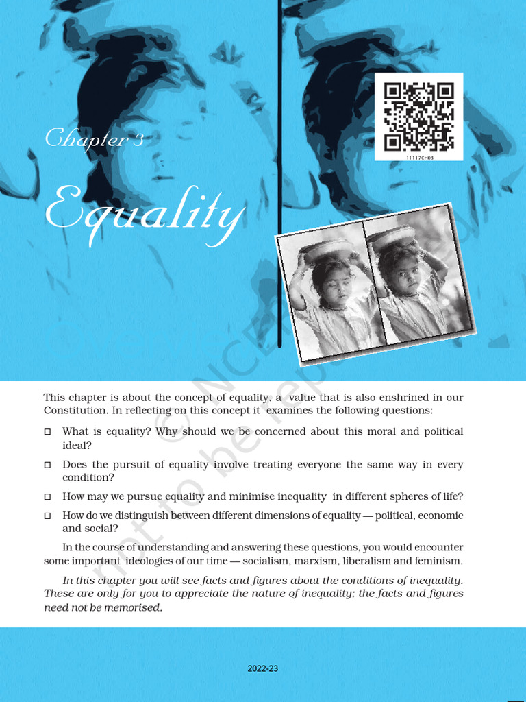Understanding Equality in Society | PDF | Equal Opportunity ...