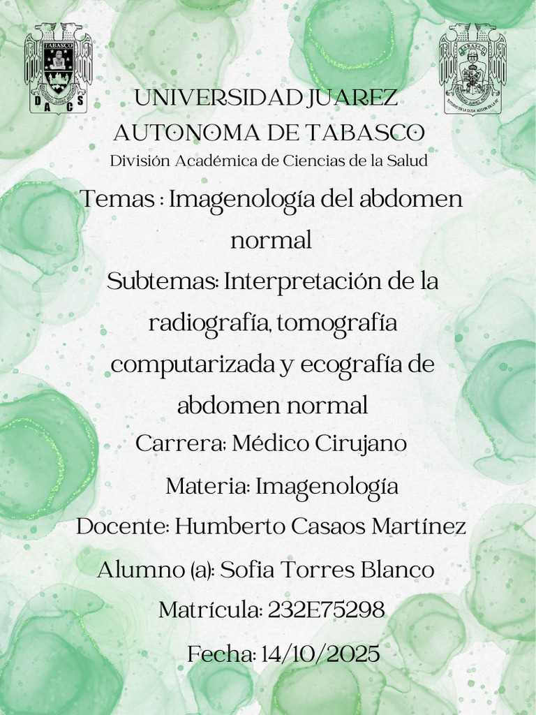 Imagenología de Abdomen Normal | PDF