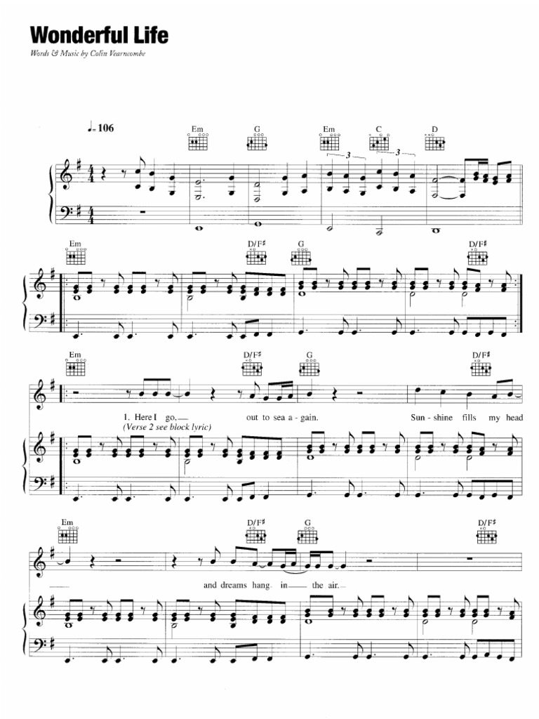 Black - Wonderful Life (PVG)