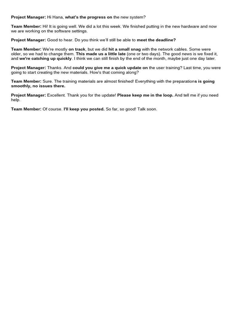 Project Update: System Progress Report | PDF