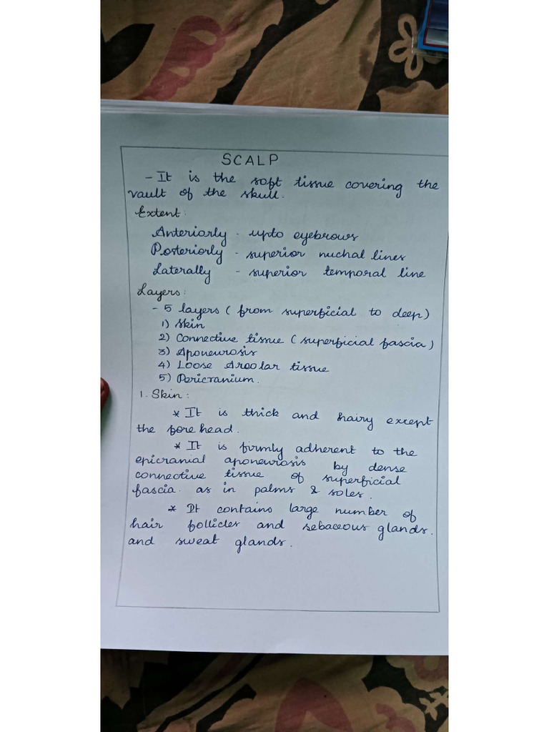 Anat | PDF