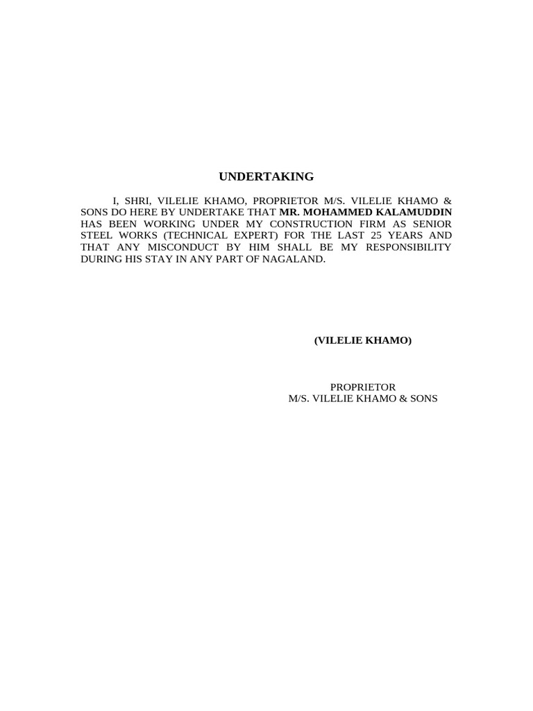 Undertaking | PDF